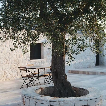 فيلا Trulli A Sud-Est ألبيروبيللو المظهر الخارجي الصورة